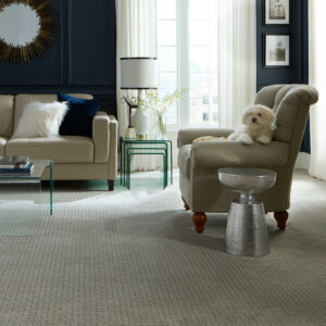Puppy on couch | Lynch Carpet & Flooring