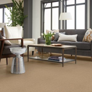 Living room Carpet flooring | Lynch Carpet & Flooring