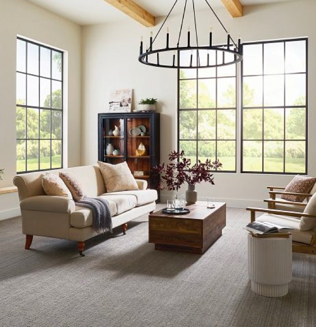 Living room Carpet | Lynch Carpet & Flooring