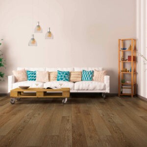 Vinyl flooring for living room | Lynch Carpet & Flooring