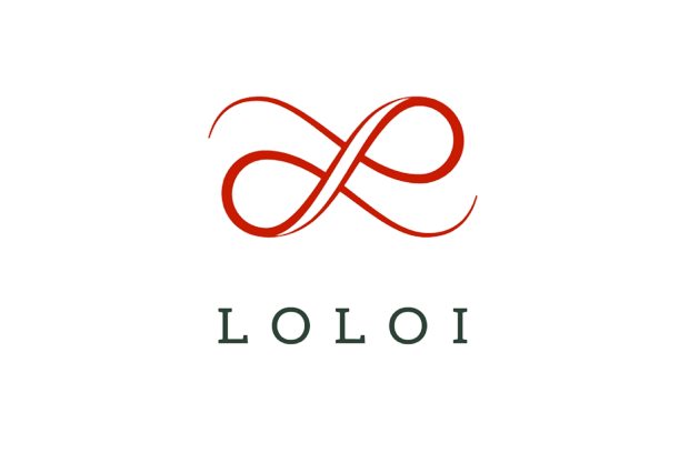Loloi | Lynch Carpet & Flooring