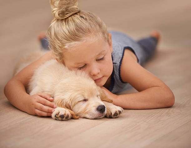 baby & Pet safe floor | Lynch Carpet & Flooring
